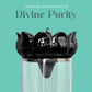 Ardhnarishwar Backflow Incense Burner