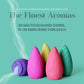 Ardhnarishwar Backflow Incense Burner